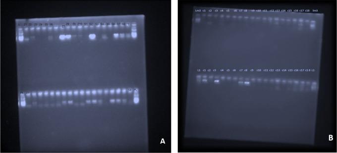 https://cdn.ncbi.nlm.nih.gov/pmc/blobs/1784/11409660/8a71c18ede6b/f1000research-12-170408-g0006.jpg