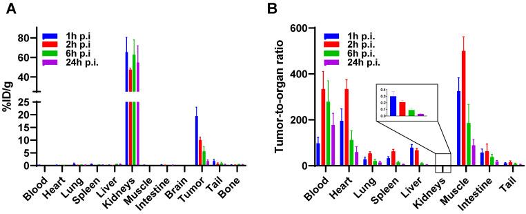 https://cdn.ncbi.nlm.nih.gov/pmc/blobs/1786/11373624/f6d3c15c4086/thnov14p4701g005.jpg