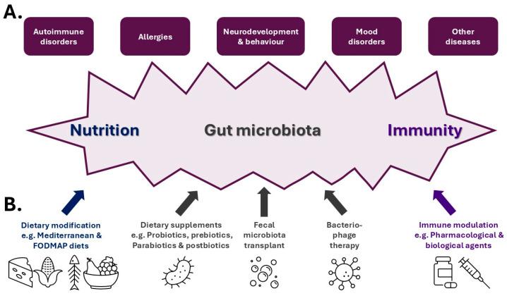 https://cdn.ncbi.nlm.nih.gov/pmc/blobs/1786/11853302/8801d9c6469c/biomedicines-13-00329-g002.jpg