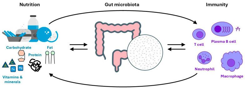 https://cdn.ncbi.nlm.nih.gov/pmc/blobs/1786/11853302/c0c751f1def1/biomedicines-13-00329-g001.jpg