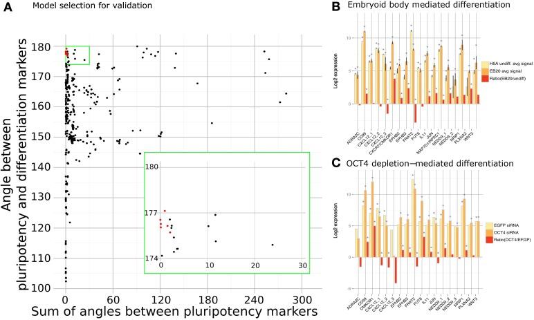 https://cdn.ncbi.nlm.nih.gov/pmc/blobs/1787/3809568/2ce1992edc5c/fphys-04-00303-g0003.jpg