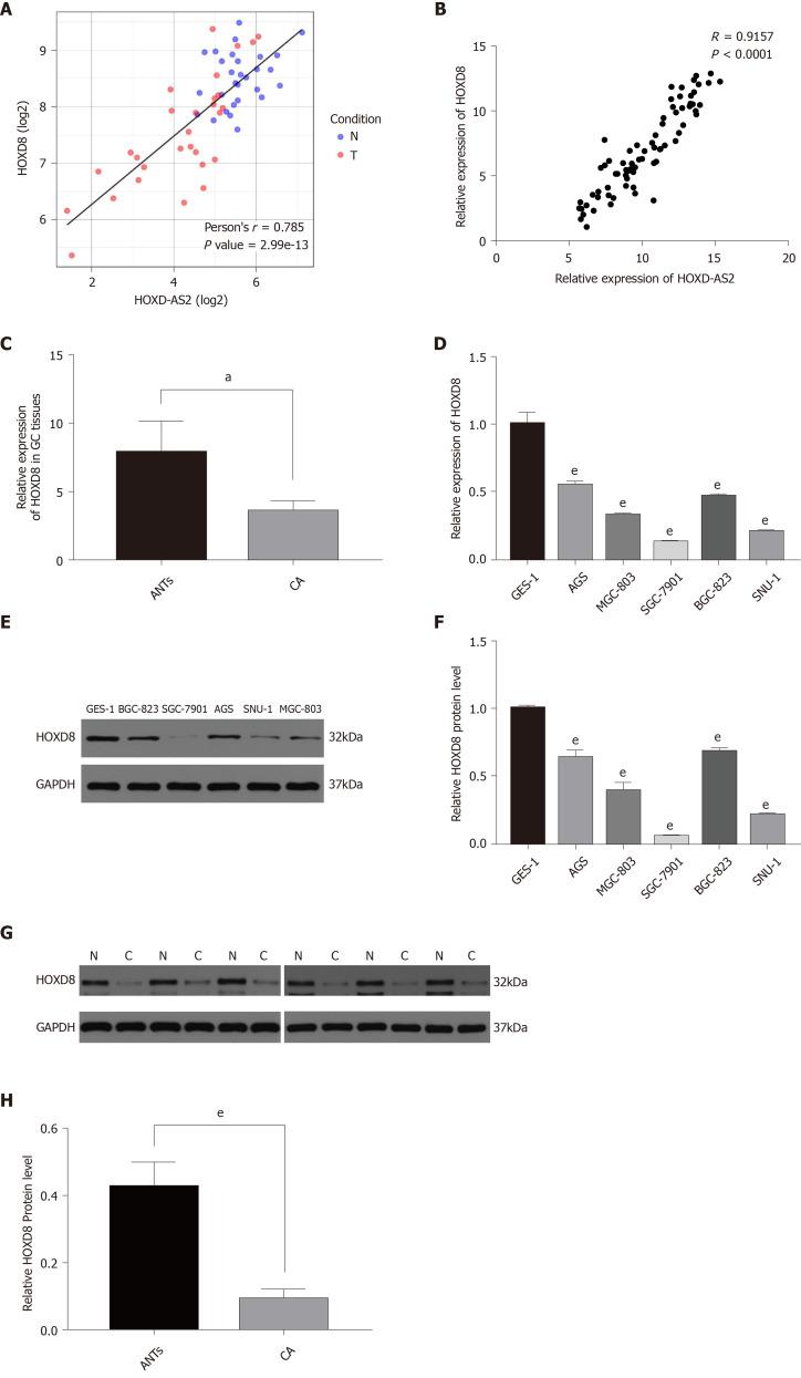https://cdn.ncbi.nlm.nih.gov/pmc/blobs/1787/7667460/55cce45de96c/WJGO-12-1237-g005.jpg