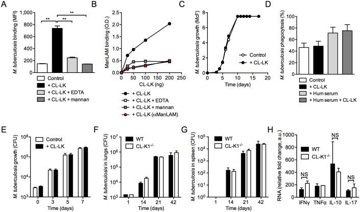 https://cdn.ncbi.nlm.nih.gov/pmc/blobs/1788/4501752/7bdd2f475d4e/pone.0132692.g001.jpg
