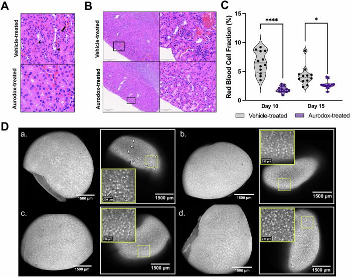 https://cdn.ncbi.nlm.nih.gov/pmc/blobs/178a/11962119/472a3b0dfb74/44259_2025_94_Fig4_HTML.jpg