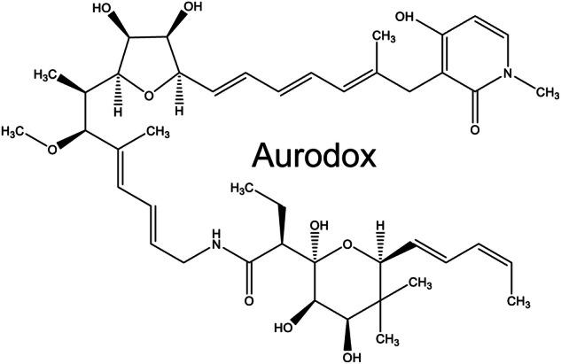 https://cdn.ncbi.nlm.nih.gov/pmc/blobs/178a/11962119/8f5eacc4dcd5/44259_2025_94_Fig1_HTML.jpg