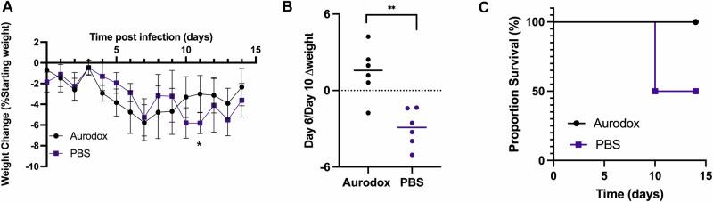 https://cdn.ncbi.nlm.nih.gov/pmc/blobs/178a/11962119/c73b48d3be36/44259_2025_94_Fig2_HTML.jpg