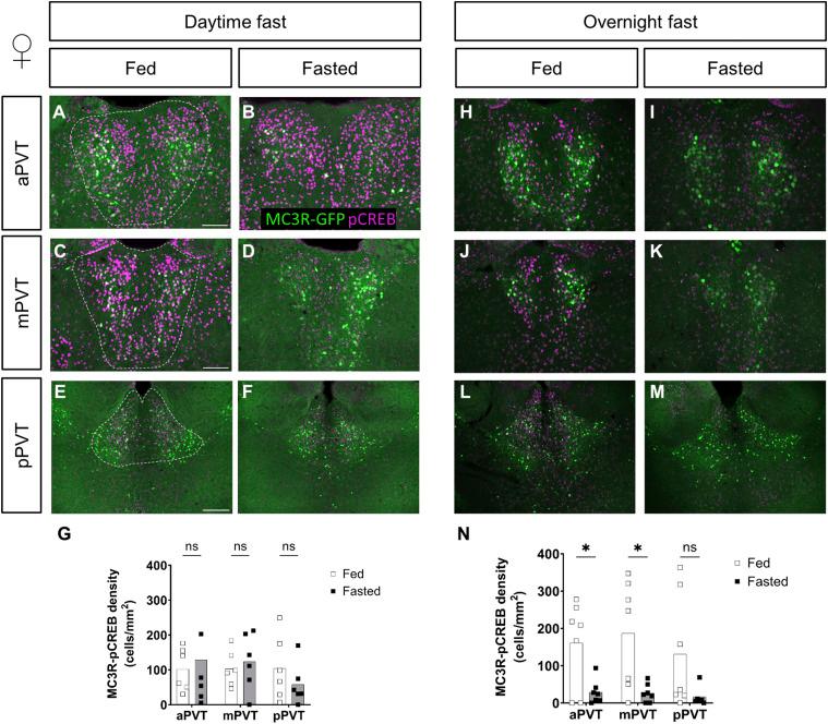 https://cdn.ncbi.nlm.nih.gov/pmc/blobs/178b/11303869/0b517137727d/LSA-2024-02754_Fig4.jpg