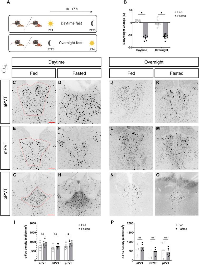 https://cdn.ncbi.nlm.nih.gov/pmc/blobs/178b/11303869/8bde6042f0fc/LSA-2024-02754_FigS1.jpg