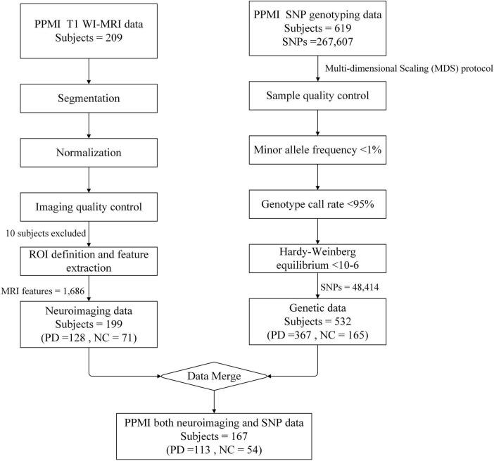 https://cdn.ncbi.nlm.nih.gov/pmc/blobs/178b/11832485/2c2f420e6bdd/fnagi-17-1510192-g001.jpg