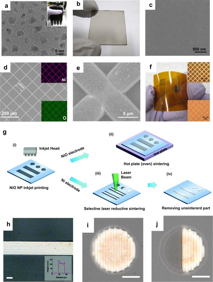 https://cdn.ncbi.nlm.nih.gov/pmc/blobs/178b/7338299/852815118e14/40580_2020_232_Fig7_HTML.jpg