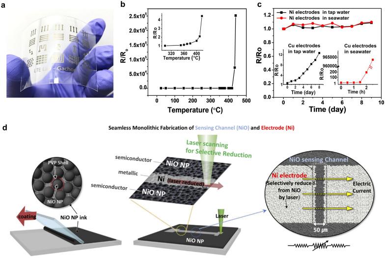 https://cdn.ncbi.nlm.nih.gov/pmc/blobs/178b/7338299/85e3da6998f7/40580_2020_232_Fig8_HTML.jpg