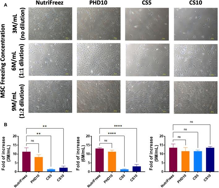 https://cdn.ncbi.nlm.nih.gov/pmc/blobs/178d/11324487/113cd7d8b04e/fbioe-12-1412811-g005.jpg