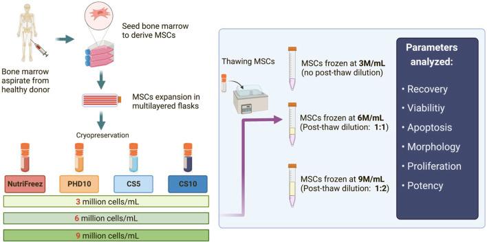 https://cdn.ncbi.nlm.nih.gov/pmc/blobs/178d/11324487/11d56afe7223/fbioe-12-1412811-g001.jpg