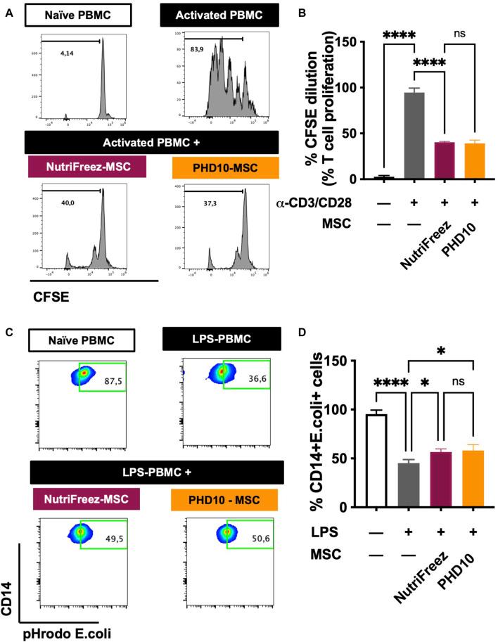 https://cdn.ncbi.nlm.nih.gov/pmc/blobs/178d/11324487/ee526b7eed45/fbioe-12-1412811-g006.jpg