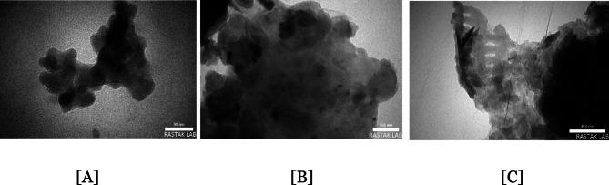https://cdn.ncbi.nlm.nih.gov/pmc/blobs/178f/12075519/9709bb6020e1/41598_2025_1504_Fig2_HTML.jpg