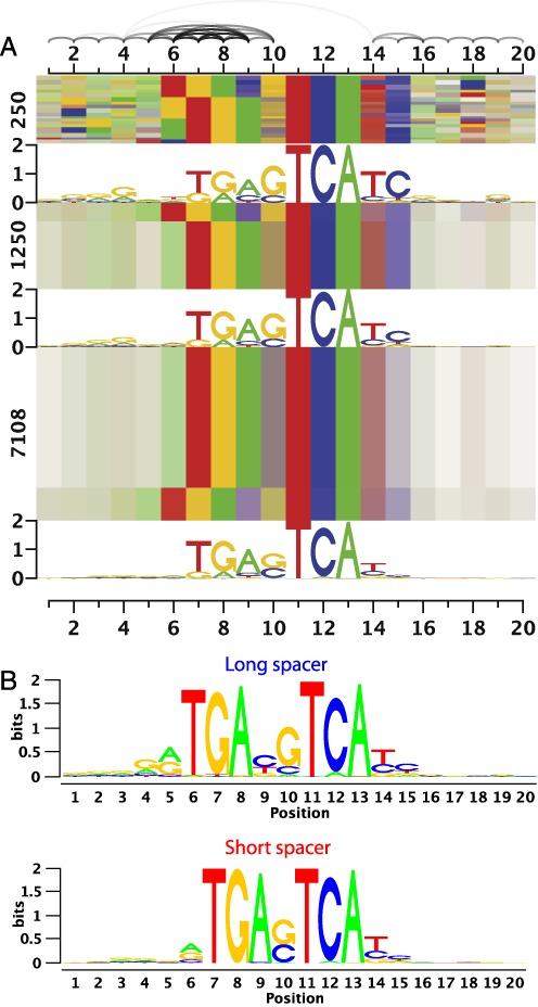 https://cdn.ncbi.nlm.nih.gov/pmc/blobs/1792/4605289/bc76f580e5c7/gkv577fig5.jpg