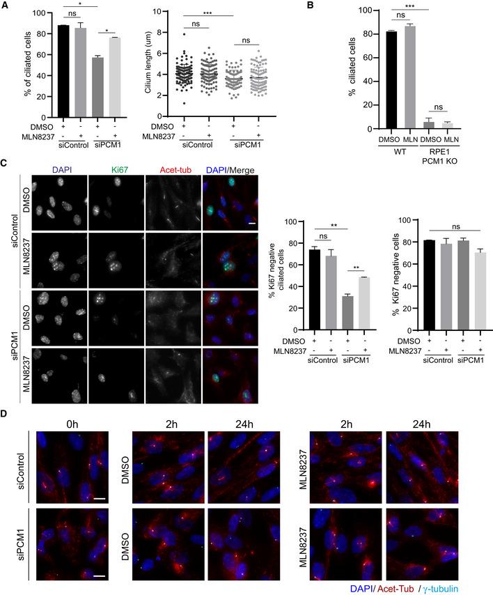 https://cdn.ncbi.nlm.nih.gov/pmc/blobs/1794/8339716/61cf31cf3f97/EMBR-22-e51902-g007.jpg