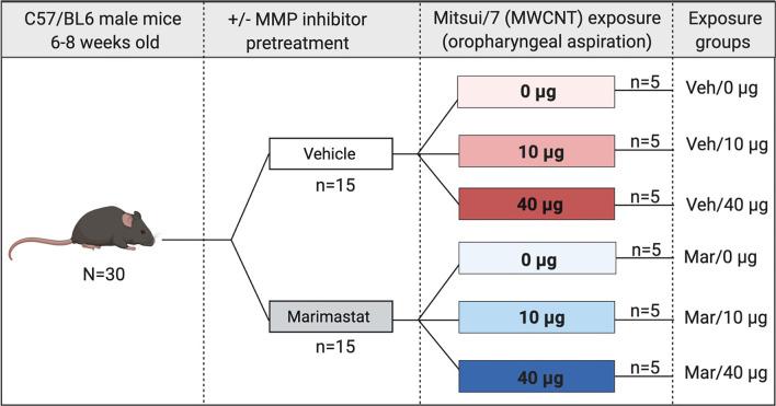 https://cdn.ncbi.nlm.nih.gov/pmc/blobs/1794/8424988/cbe205a2b226/12989_2021_427_Fig1_HTML.jpg