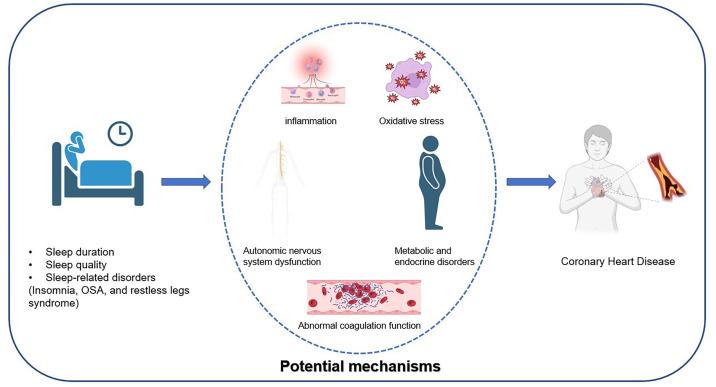 https://cdn.ncbi.nlm.nih.gov/pmc/blobs/1795/12326418/1398d1bc553d/2153-8174-26-7-37252-g1.jpg