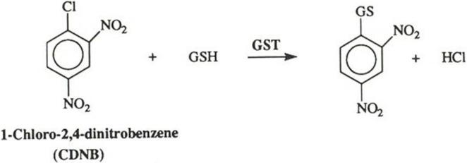 https://cdn.ncbi.nlm.nih.gov/pmc/blobs/179e/9876357/cdf367bcba34/pone.0280574.g003.jpg