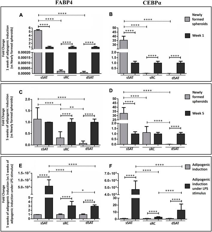 https://cdn.ncbi.nlm.nih.gov/pmc/blobs/17a1/10570415/7c3c313a2be6/fcell-11-1219218-g003.jpg