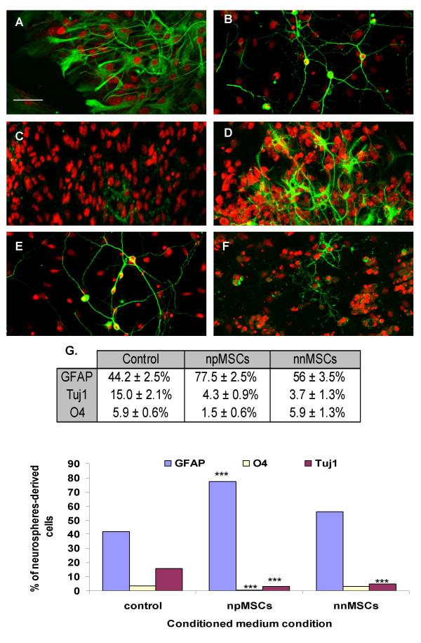 https://cdn.ncbi.nlm.nih.gov/pmc/blobs/17a2/520747/6a094c673e0e/1471-2202-5-33-2.jpg