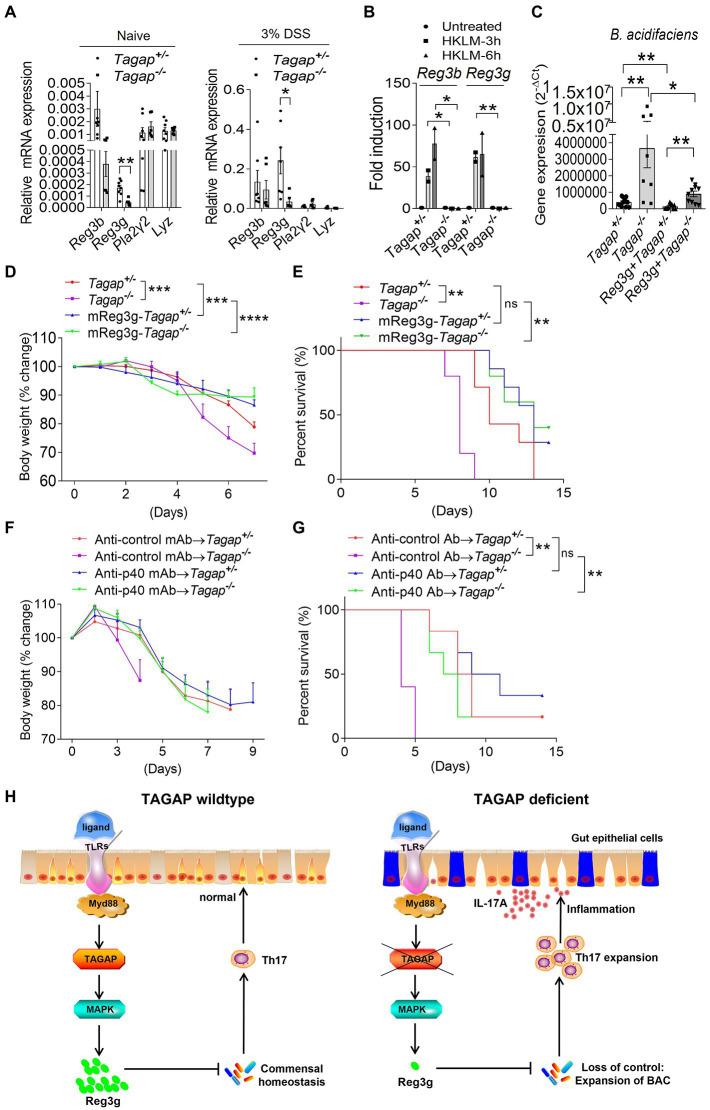 https://cdn.ncbi.nlm.nih.gov/pmc/blobs/17a4/9873376/415fd40ef4f2/fmicb-13-1030947-g006.jpg