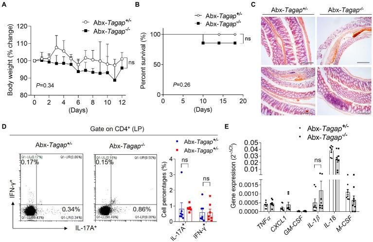 https://cdn.ncbi.nlm.nih.gov/pmc/blobs/17a4/9873376/4c5e6f07ab86/fmicb-13-1030947-g002.jpg