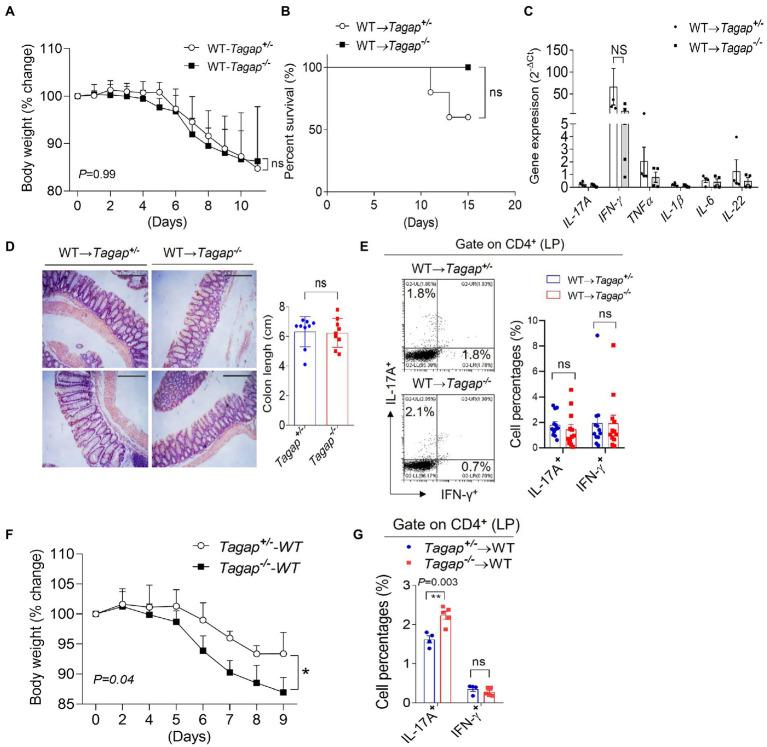 https://cdn.ncbi.nlm.nih.gov/pmc/blobs/17a4/9873376/652e0d06264f/fmicb-13-1030947-g003.jpg