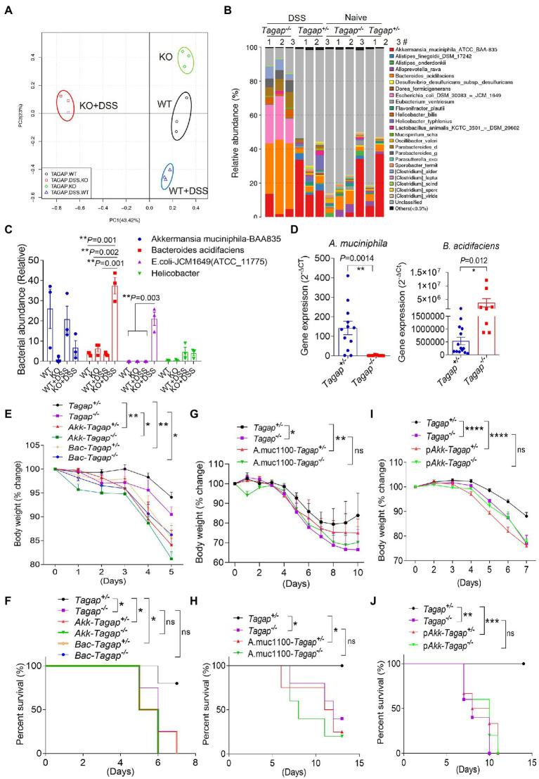 https://cdn.ncbi.nlm.nih.gov/pmc/blobs/17a4/9873376/6fdddb126cee/fmicb-13-1030947-g004.jpg