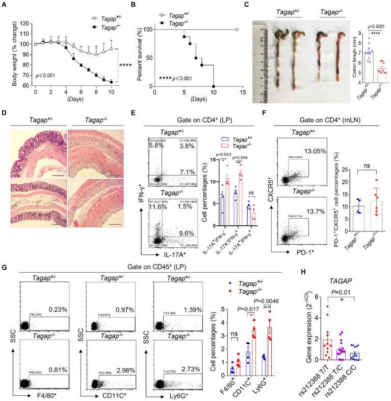 https://cdn.ncbi.nlm.nih.gov/pmc/blobs/17a4/9873376/d51900a5758b/fmicb-13-1030947-g001.jpg
