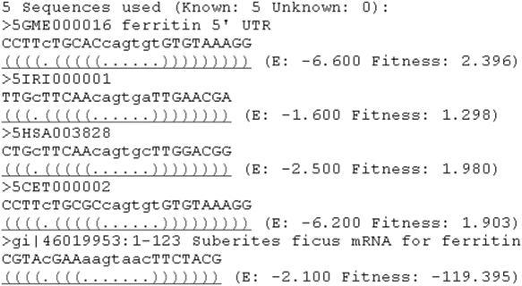 https://cdn.ncbi.nlm.nih.gov/pmc/blobs/17a6/1538899/611cd7f9c943/gkl285f2.jpg