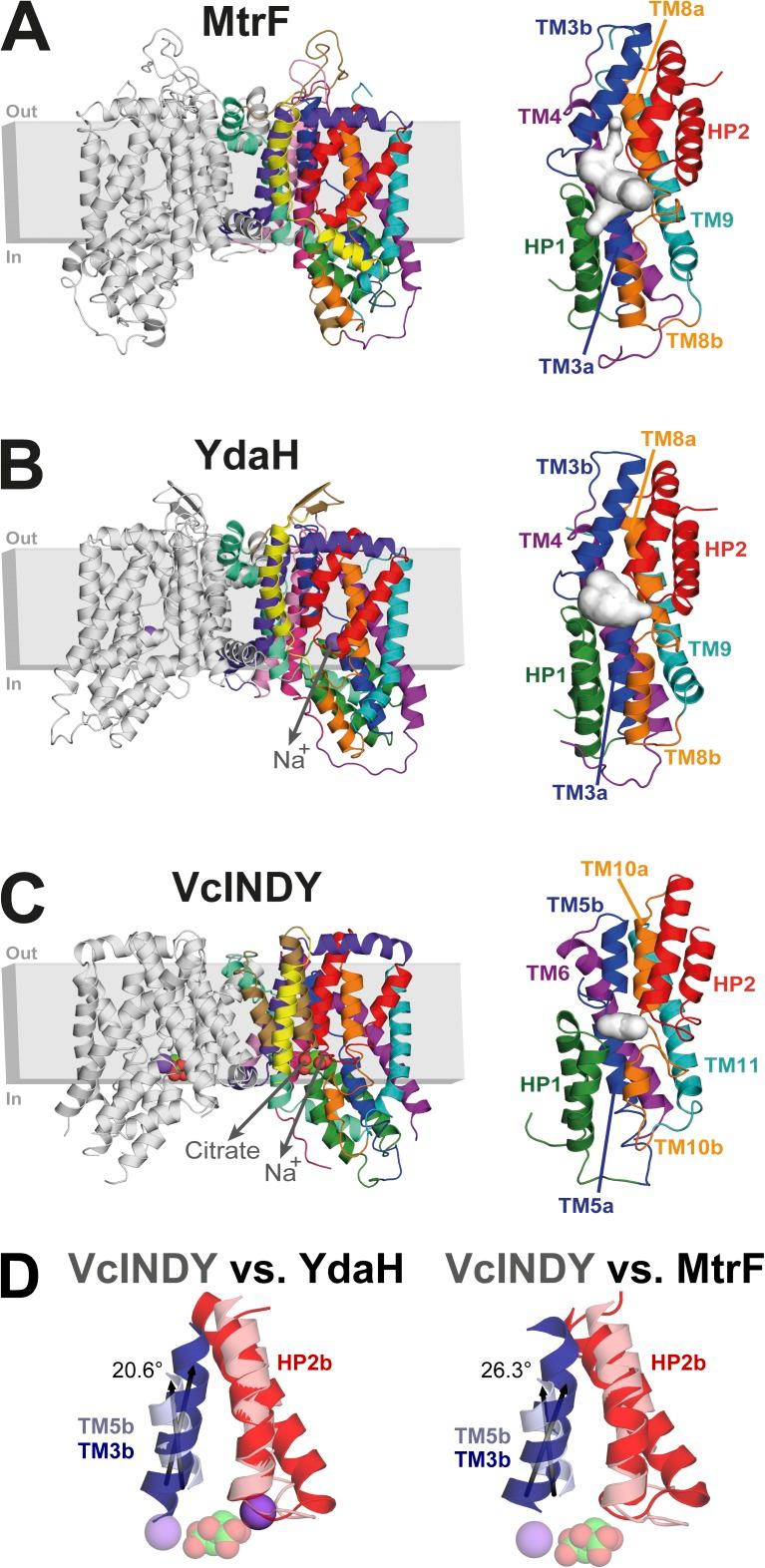 https://cdn.ncbi.nlm.nih.gov/pmc/blobs/17a6/4621753/bf91c7db02a4/JGP_201511481_Fig3.jpg