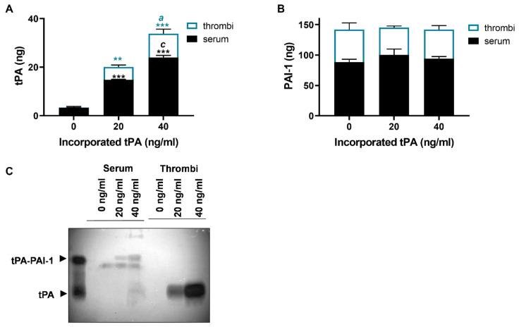 https://cdn.ncbi.nlm.nih.gov/pmc/blobs/17a7/7924342/6ee930a37fd2/ijms-22-02115-g002.jpg