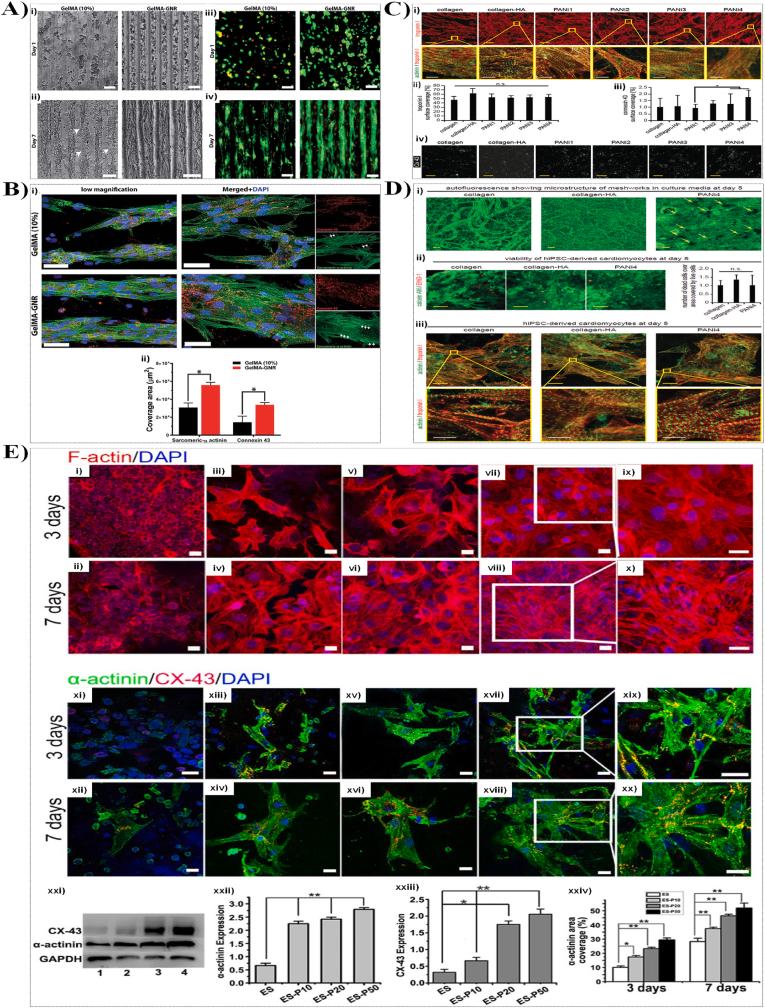 https://cdn.ncbi.nlm.nih.gov/pmc/blobs/17a9/12180948/1fcee9366a80/gr26.jpg
