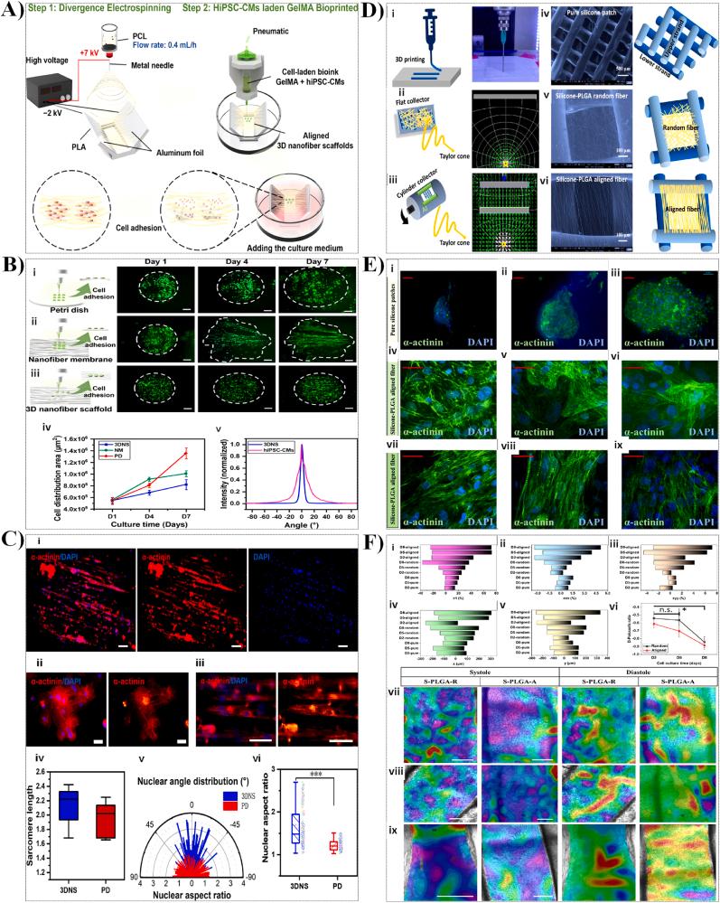 https://cdn.ncbi.nlm.nih.gov/pmc/blobs/17a9/12180948/2b1ae3839566/gr7.jpg