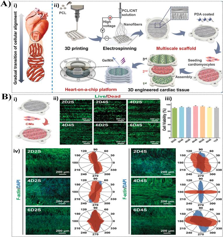 https://cdn.ncbi.nlm.nih.gov/pmc/blobs/17a9/12180948/867d53595ba7/gr8.jpg