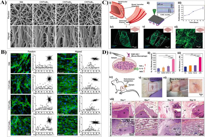 https://cdn.ncbi.nlm.nih.gov/pmc/blobs/17a9/12180948/9d2d0b931e8d/gr15.jpg