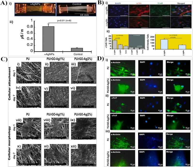 https://cdn.ncbi.nlm.nih.gov/pmc/blobs/17a9/12180948/d6b099edcaf8/gr20.jpg