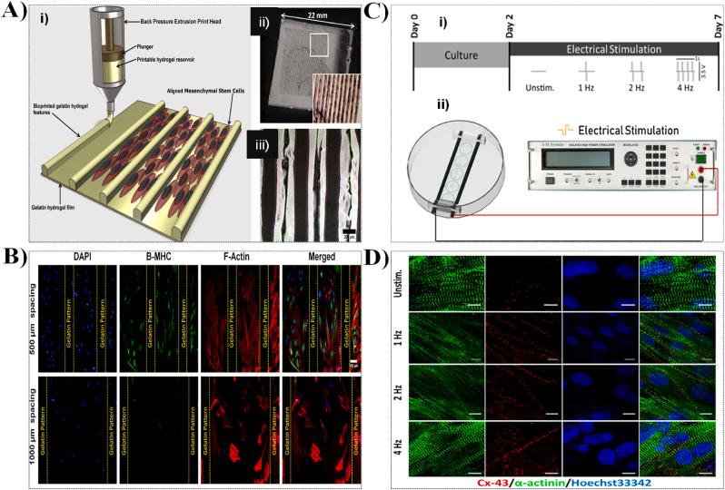 https://cdn.ncbi.nlm.nih.gov/pmc/blobs/17a9/12180948/dfb7e2dc4d6b/gr12.jpg
