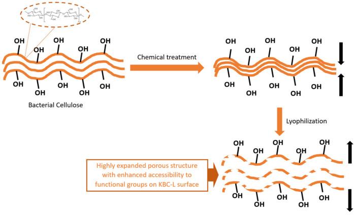 https://cdn.ncbi.nlm.nih.gov/pmc/blobs/17aa/11243549/68659e619f81/molecules-29-03057-g002.jpg