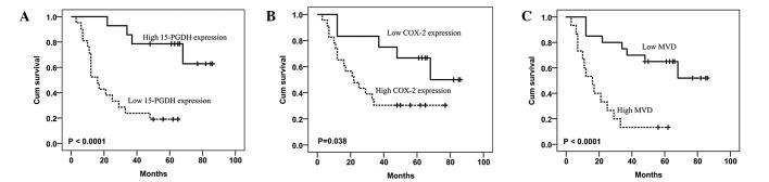 https://cdn.ncbi.nlm.nih.gov/pmc/blobs/17aa/4156203/5a793de733bd/OL-08-04-1589-g02.jpg