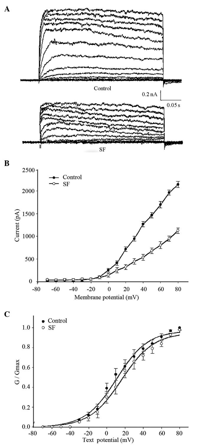 https://cdn.ncbi.nlm.nih.gov/pmc/blobs/17ad/4113652/a56d1528615c/ETM-08-03-0983-g01.jpg