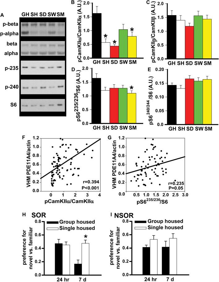 https://cdn.ncbi.nlm.nih.gov/pmc/blobs/17ae/8650591/7f001f47c7da/fphar-12-749628-g003.jpg