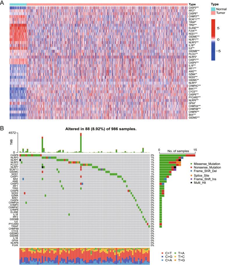 https://cdn.ncbi.nlm.nih.gov/pmc/blobs/17ae/9019977/de912801a295/12885_2022_9526_Fig2_HTML.jpg