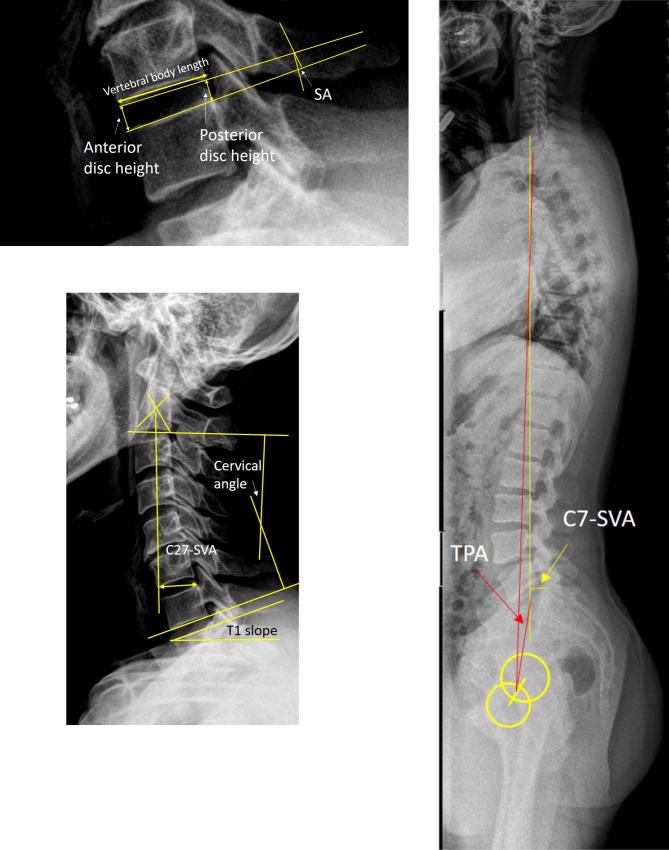 https://cdn.ncbi.nlm.nih.gov/pmc/blobs/17ae/9942978/1fd021d9ea68/pone.0281926.g001.jpg