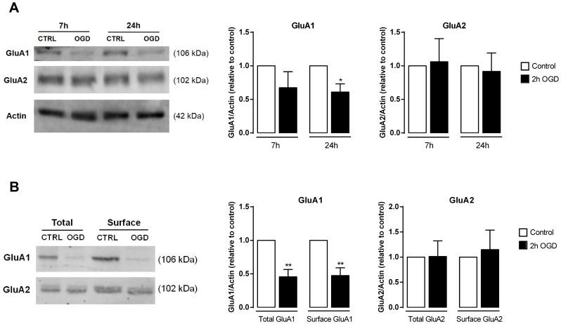 https://cdn.ncbi.nlm.nih.gov/pmc/blobs/17b2/4069008/cd6b5d42df57/pone.0099958.g008.jpg
