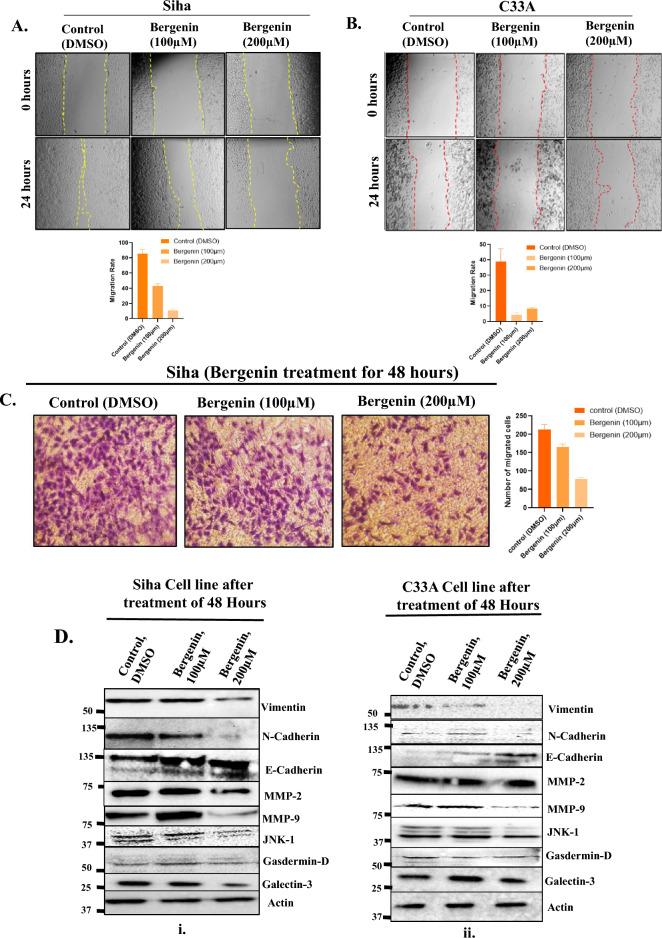 https://cdn.ncbi.nlm.nih.gov/pmc/blobs/17b3/11222472/8537354a671a/41598_2024_64781_Fig4_HTML.jpg