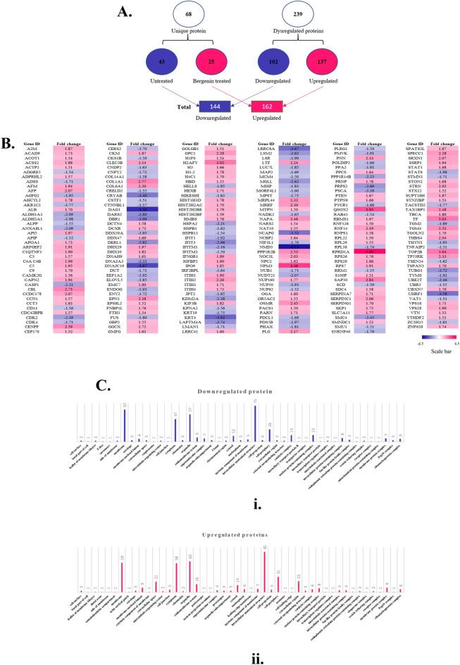 https://cdn.ncbi.nlm.nih.gov/pmc/blobs/17b3/11222472/f37b1e4e1e0e/41598_2024_64781_Fig2_HTML.jpg