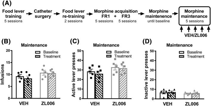https://cdn.ncbi.nlm.nih.gov/pmc/blobs/17b5/9539577/f7bb0a3e74e7/ADB-27-e13220-g003.jpg